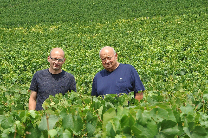 Domaine Christian Moreau, Chablis