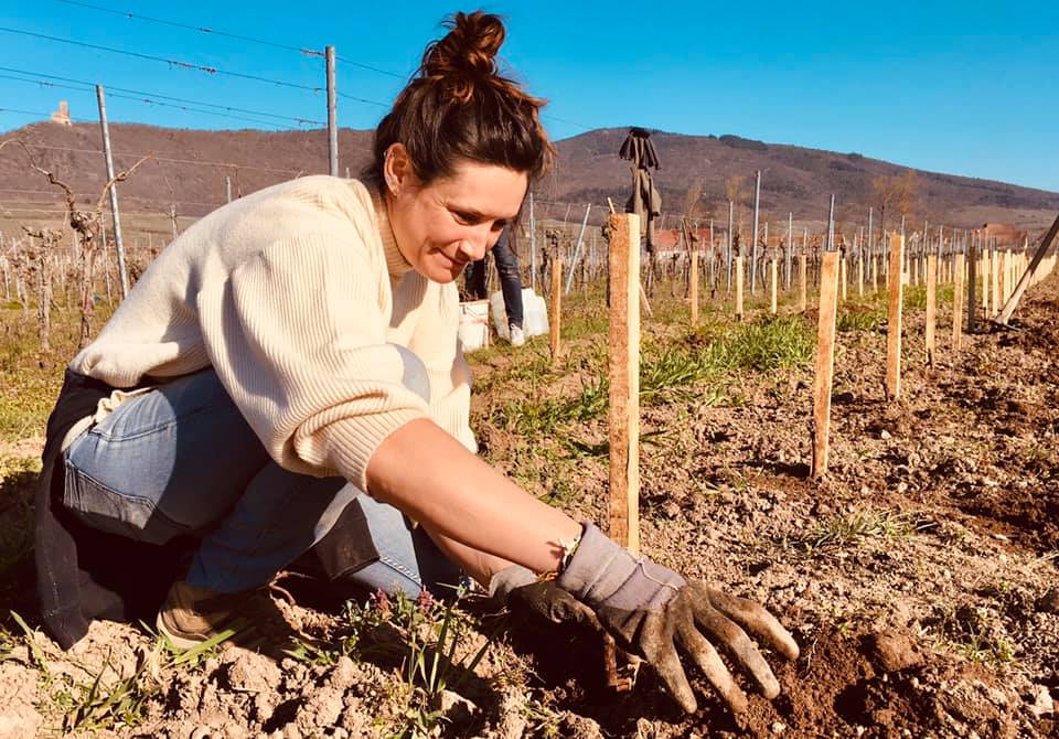 What is Natural Wine and where to start