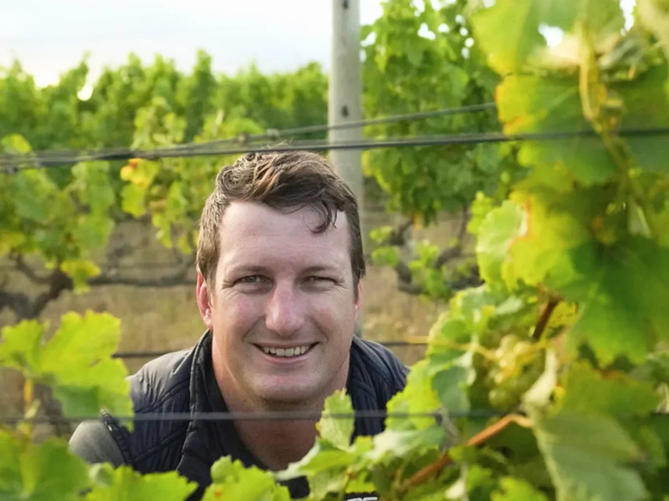 Paul Wallace Wines – Elgin Chardonnay and the Family Behind One of South Africa’s Rising Regions