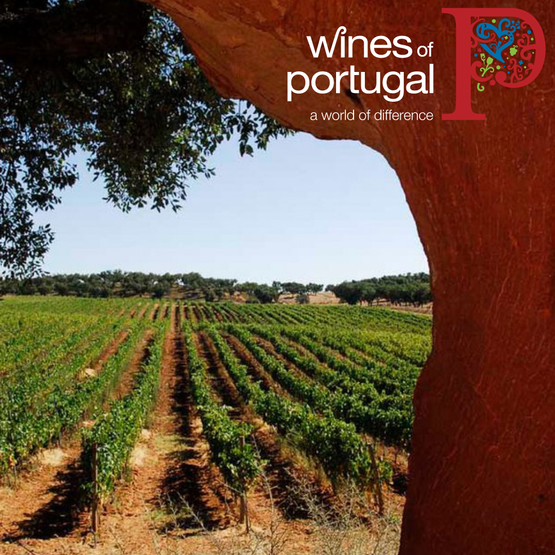 A Portuguese passion project for Tom at Reserve Mackie Mayor