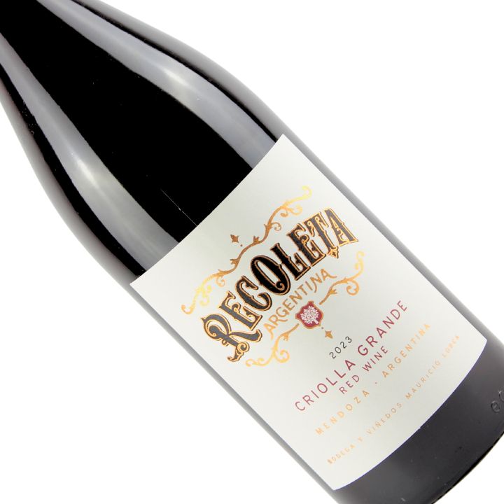 A Quick Guide To South American Wines