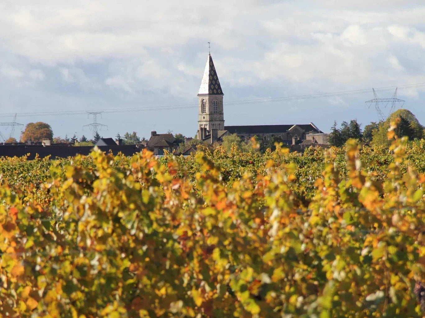Domaine Remoriquet, Nuits-Saint-Georges