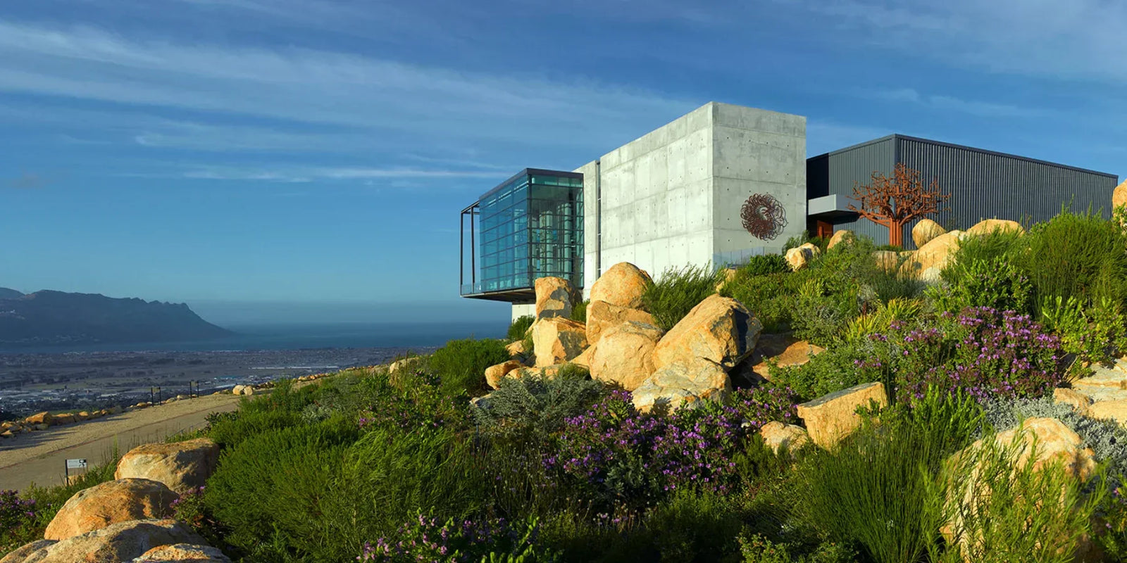 A Guide to South Africa Wines