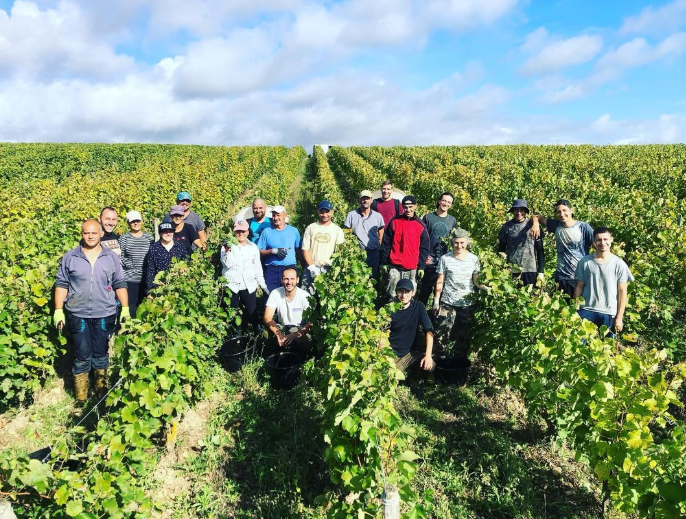 Discover Sustainable Spring Sipping with Domaine Vigneau-Chevreau Wines