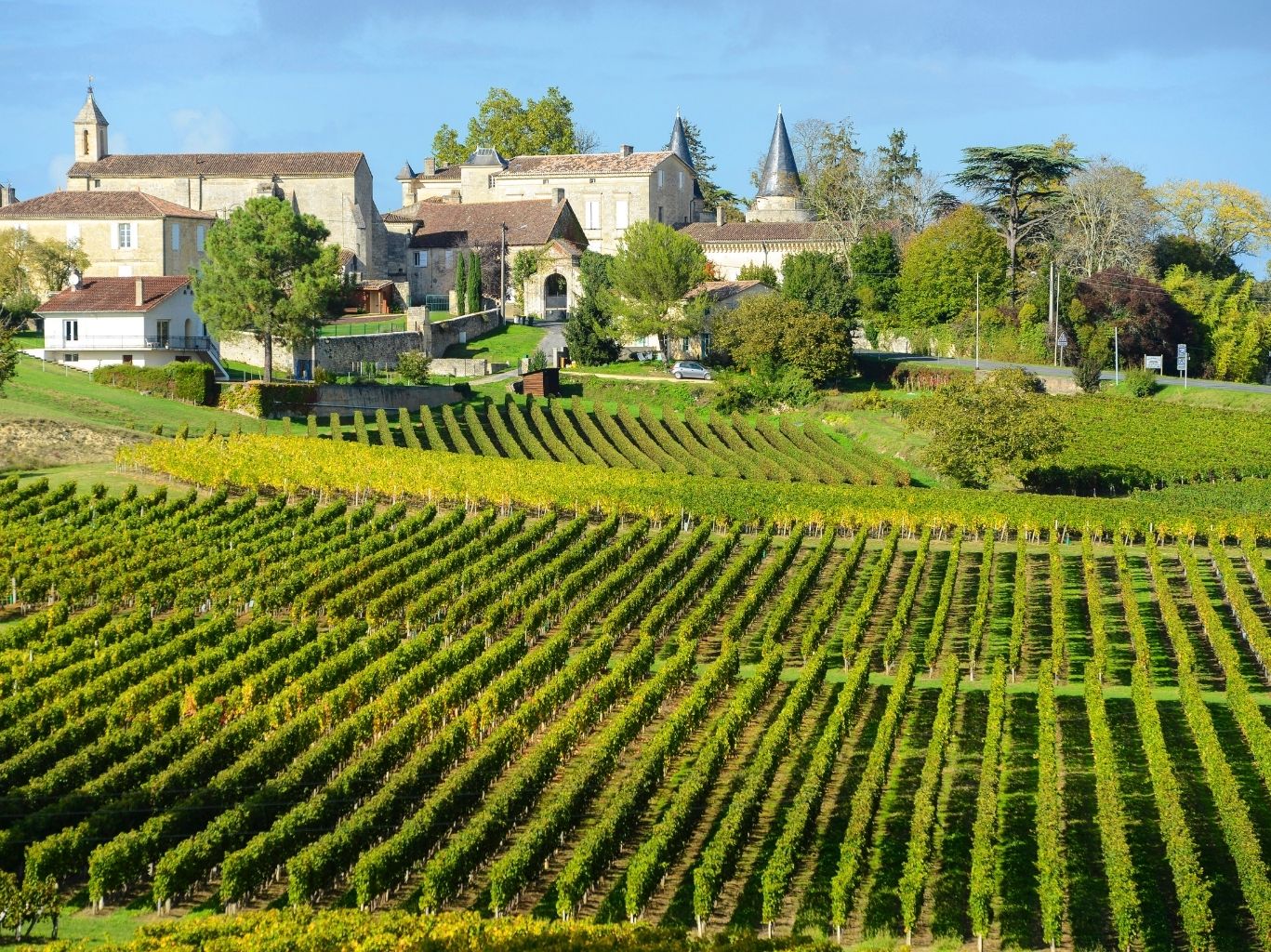 Merlot: Underrated or Iconic? Why It’s Time to Revisit This Classic