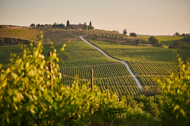 Chianti - A taste of Italy