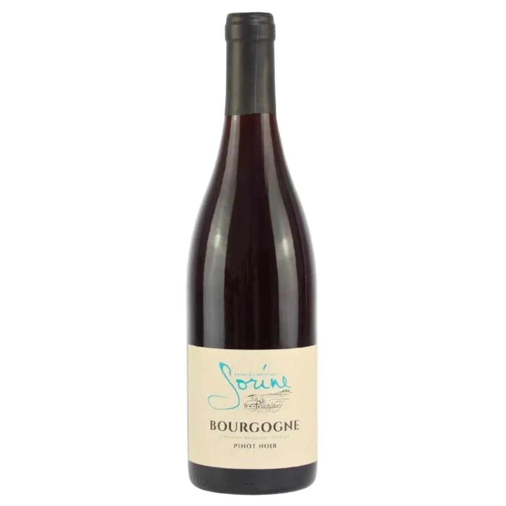 Domaine Sorine Burgundy Wine bottle with a Bourgogne Pinor Noir label on a white background