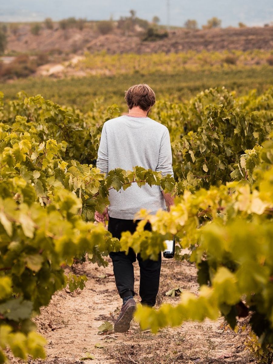 UKAN Vineyards, Rioja Alavesa. Photo from UKANWINERY.COM