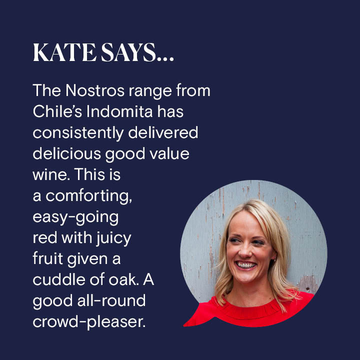 Reserve Wines&#39; Kate Goodman gives her opinion on Indomita Nostros Merlot Gran Reserva