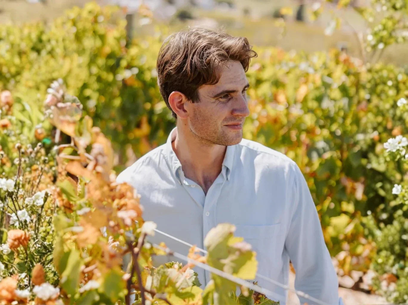 Producer Profile - Angus Paul