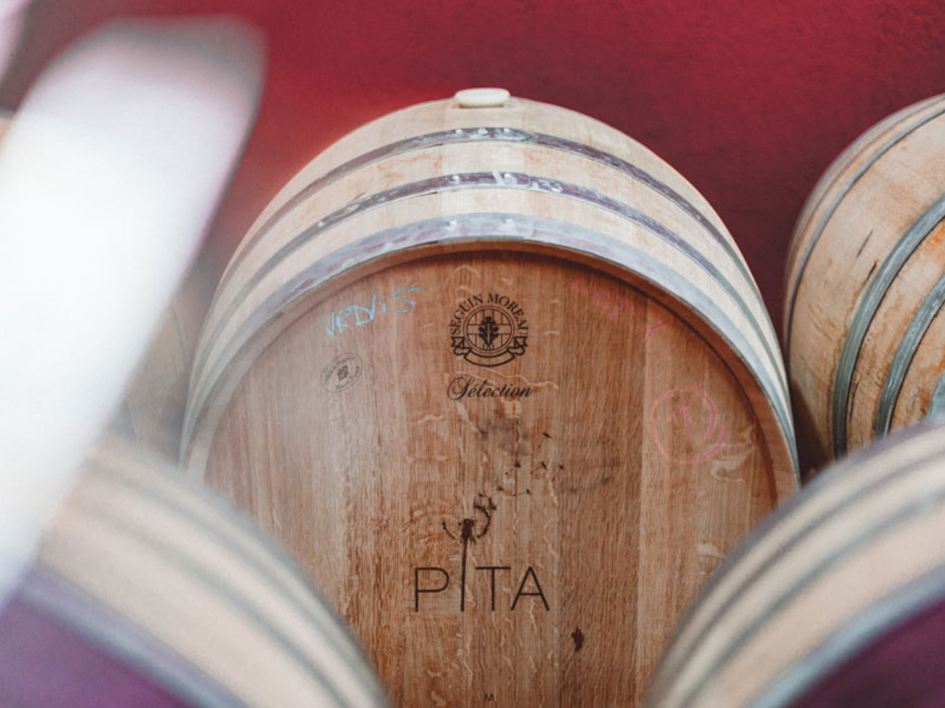 A Proper Hidden Gem: Aged Verdejo You Were Never Meant to Find