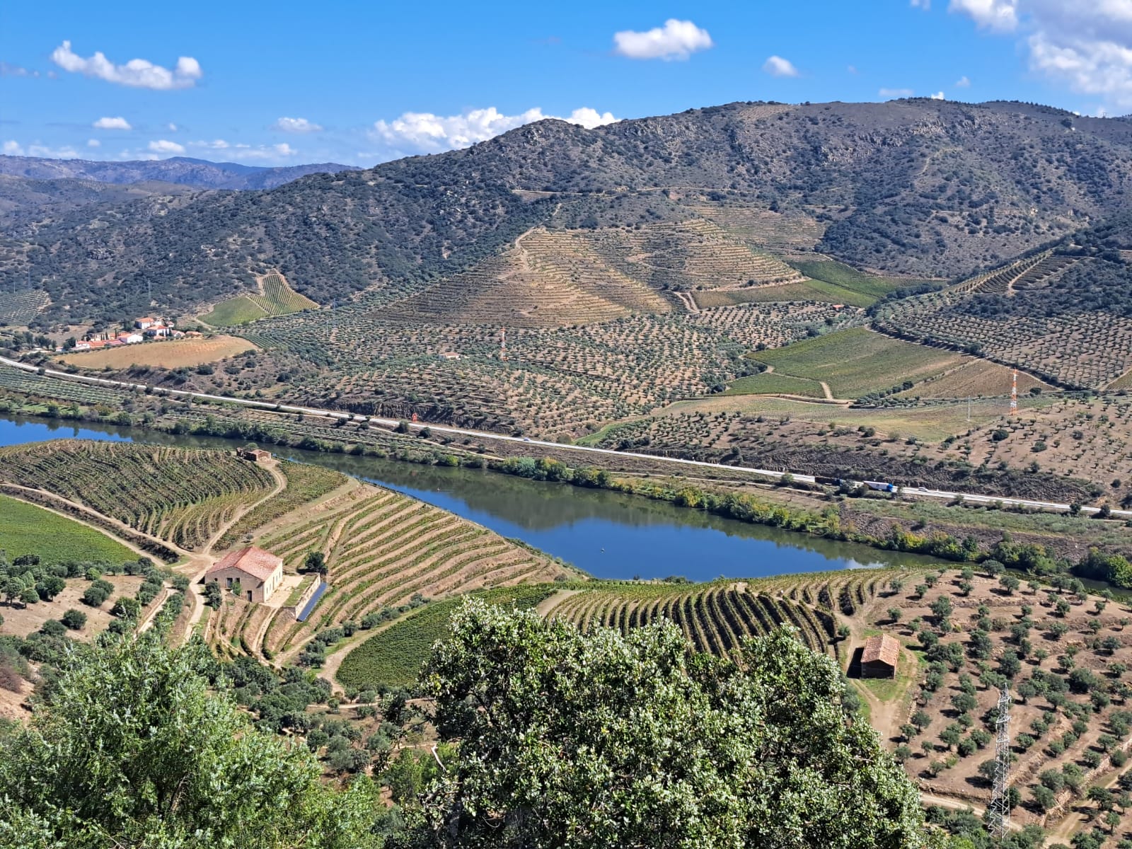 Reserve Wines in Portugal