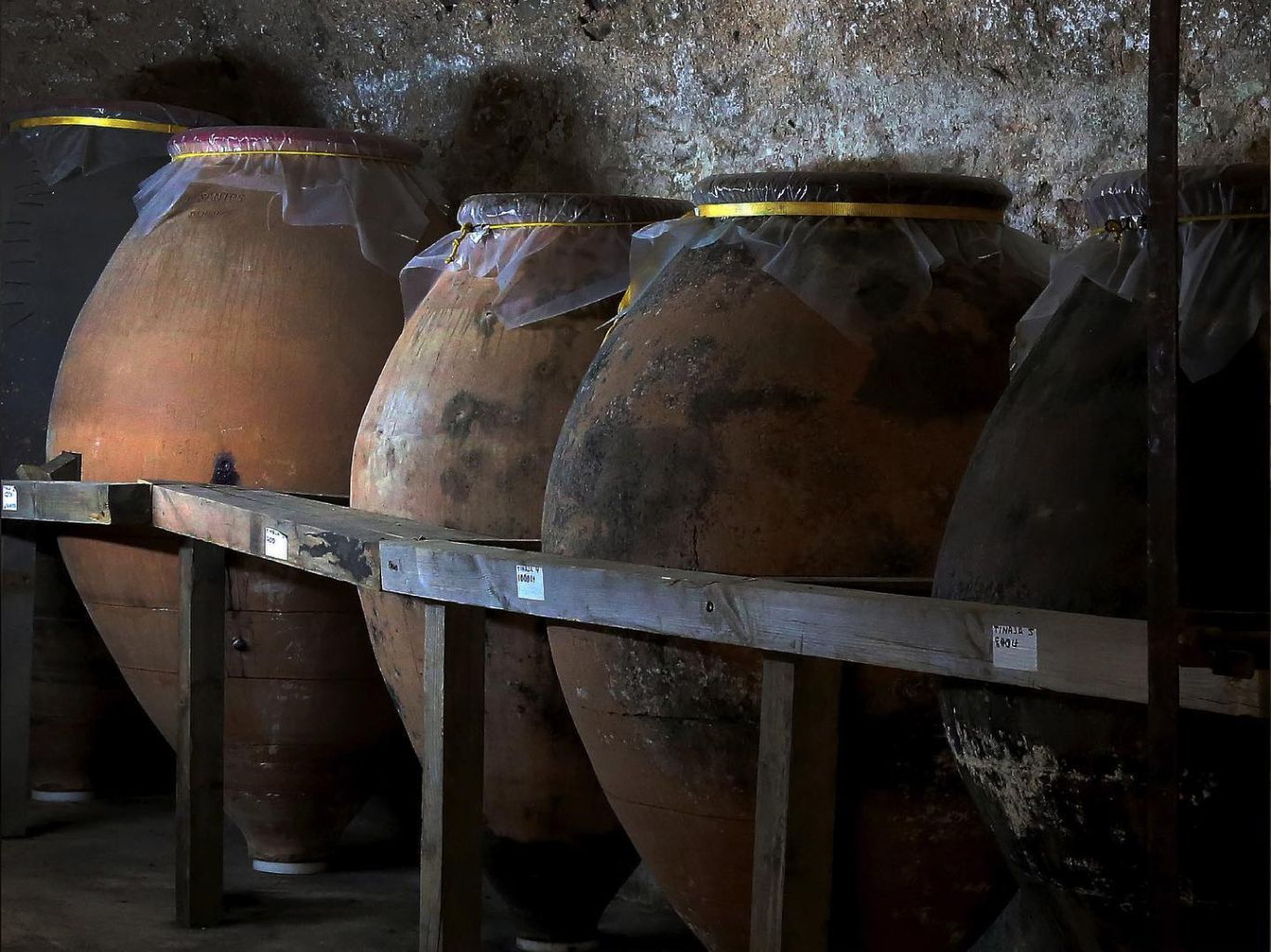 Libre y Salvaje: gravity, old vines and barely any technology