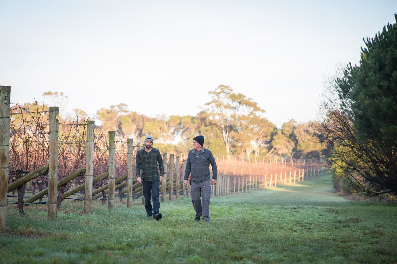 Moorooduc Estate - World-class Chardonnay & Pinot Noir on the Mornington Peninsula
