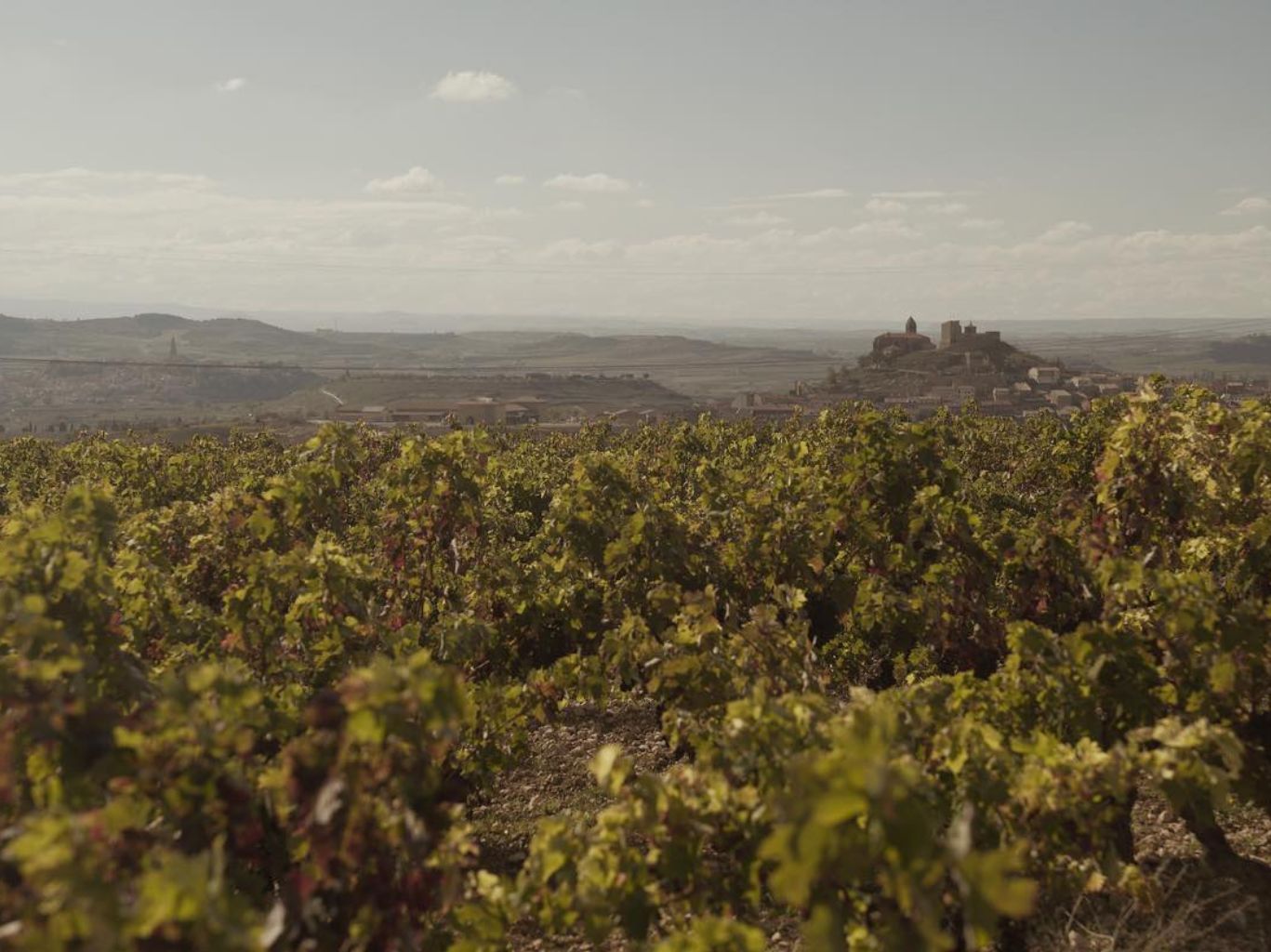 Rediscover Spain: why we're pouring these wines by the glass this summer