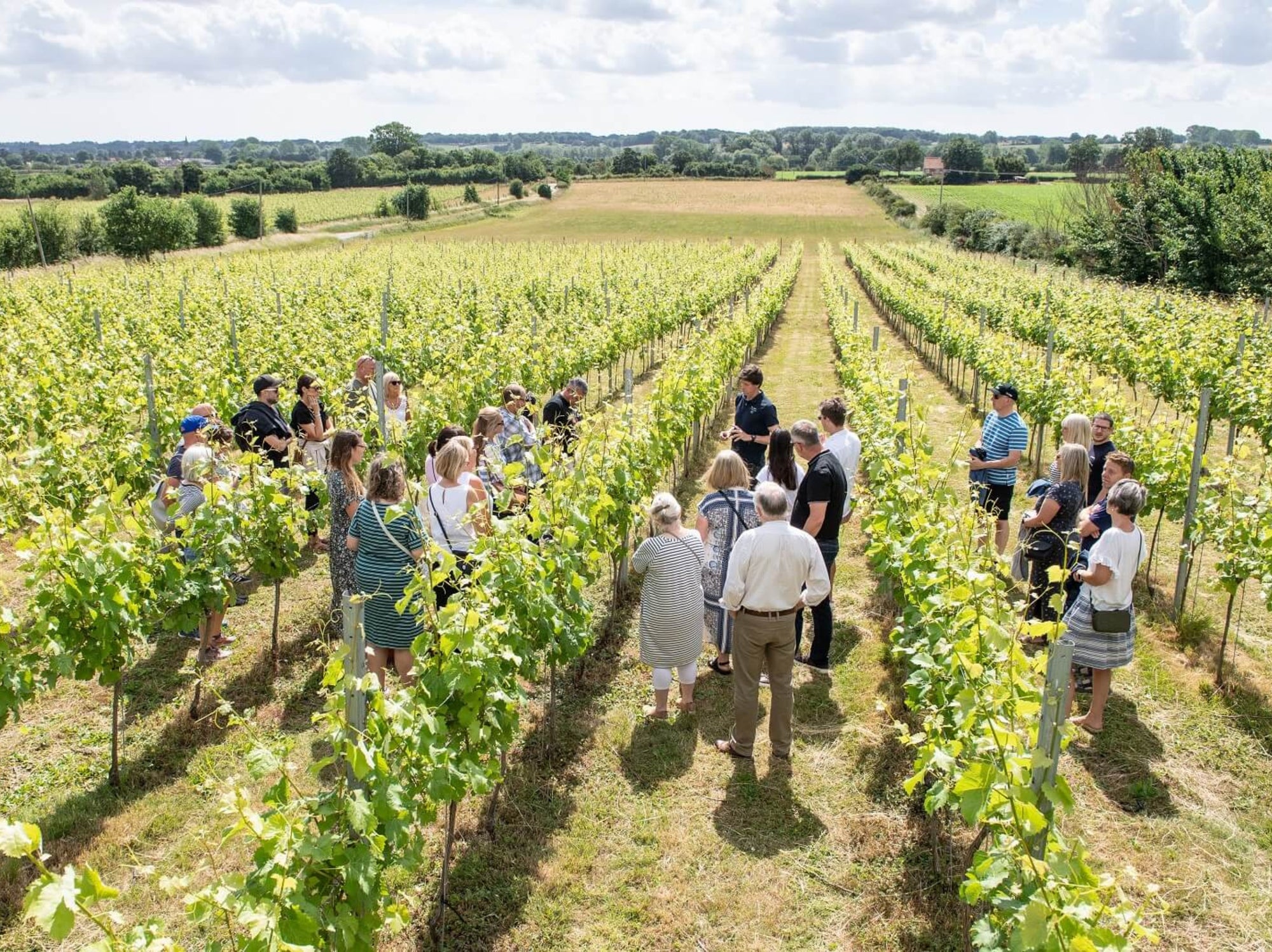 Celebrating English Wine Week 2023 with Harrow & Hope & Flint Vineyards
