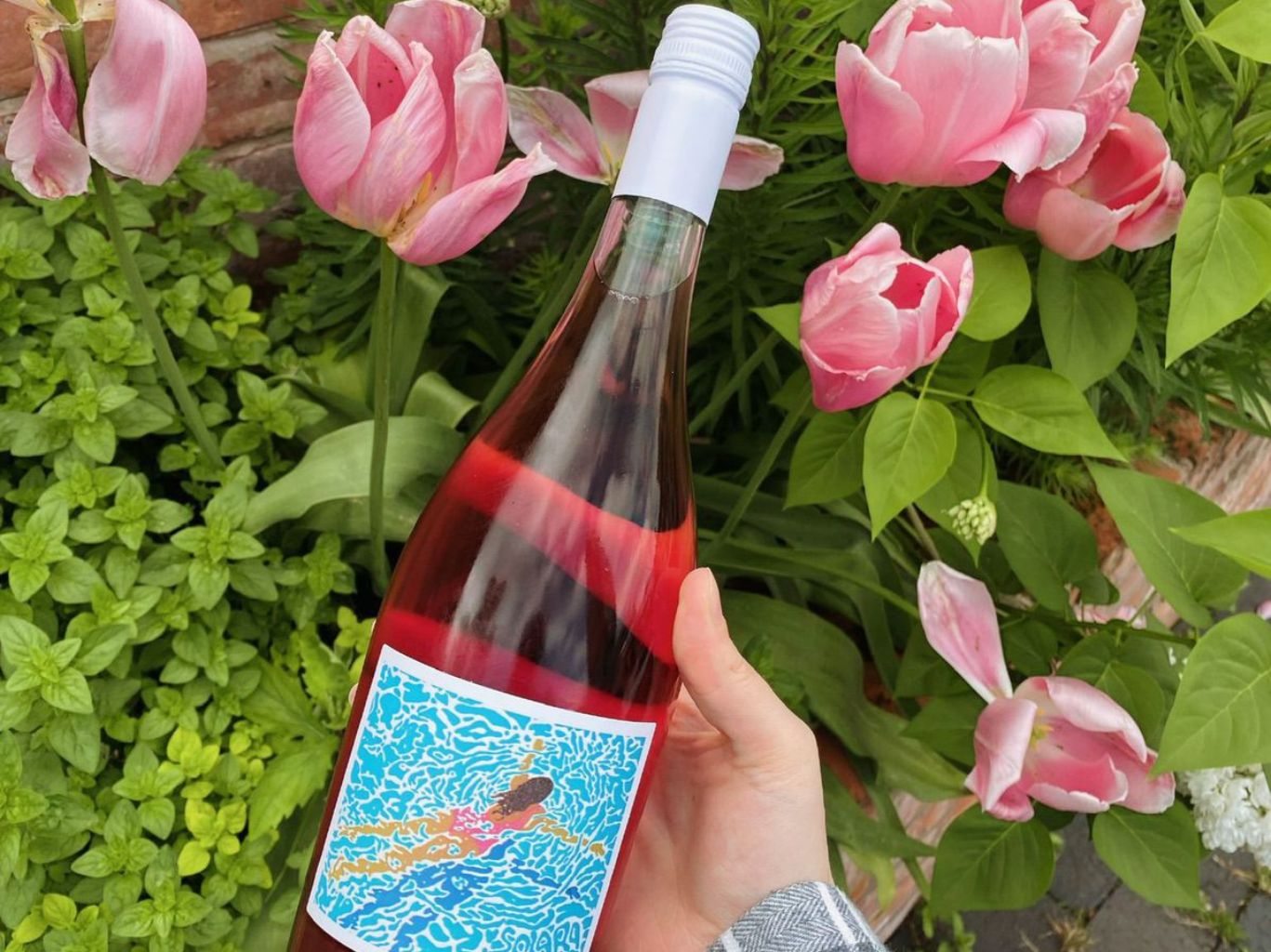 Reserve Wines great summer wines for £15 and under