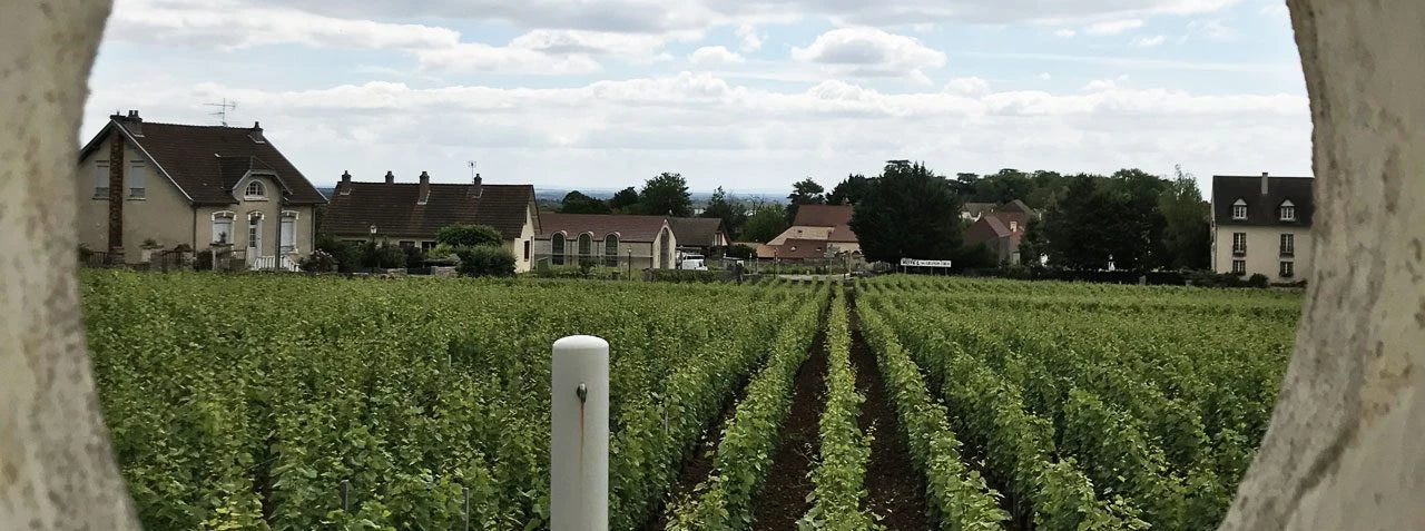 Domaine Philippe Livera, Gevrey Chambertin