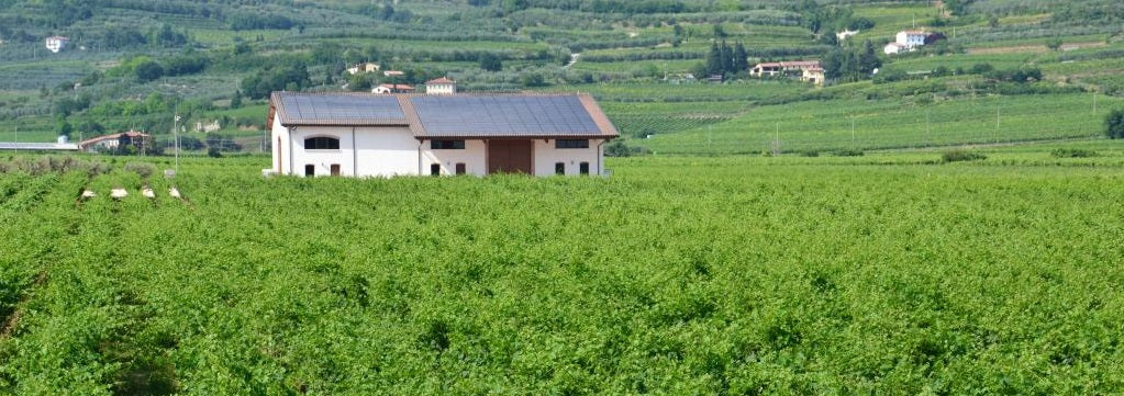 In Focus - Ilatium Morini