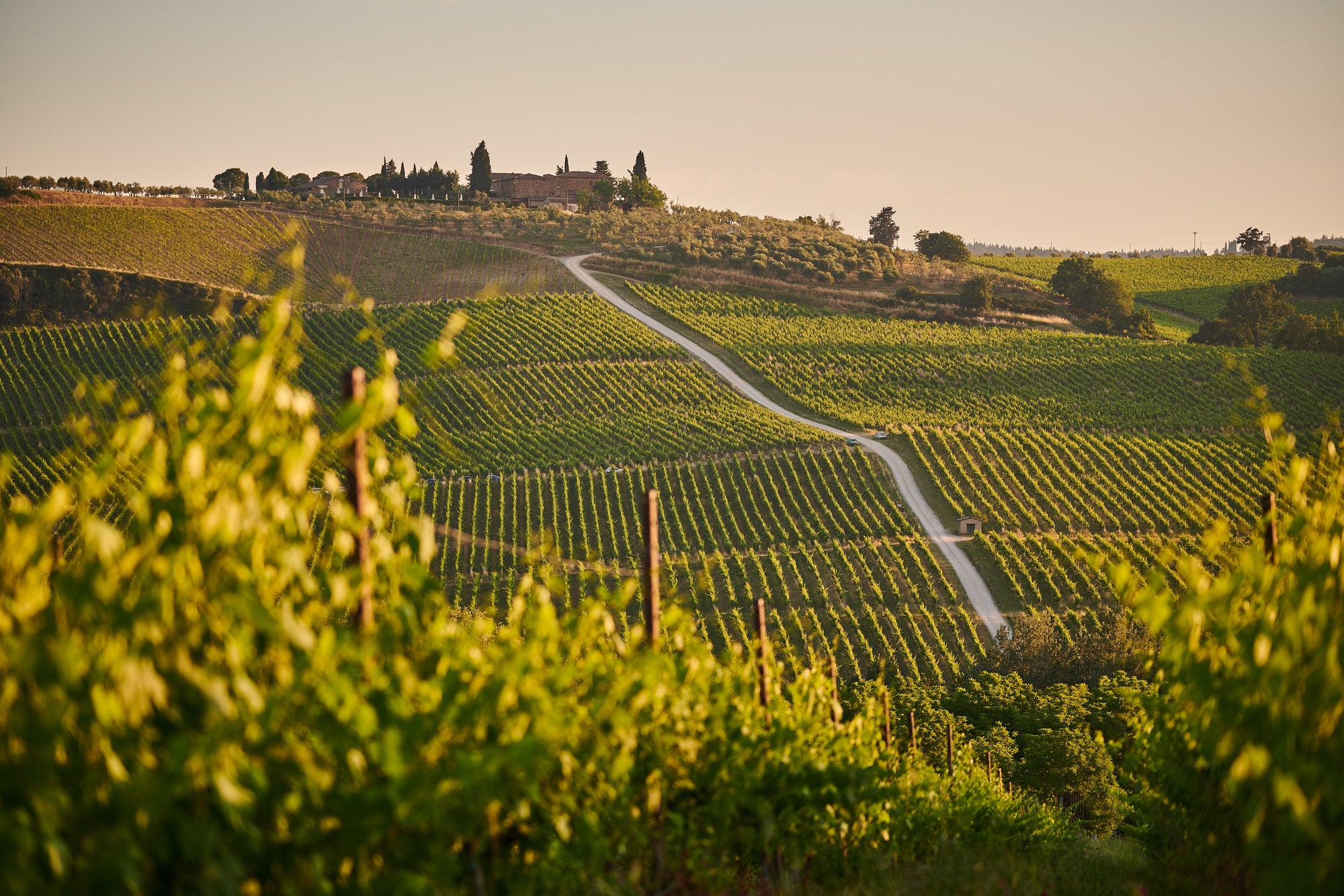 Around the world with Pinot Noir