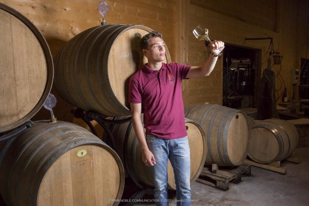 Discover the Purity of Alsace: Why We Love Charles Frey Wines