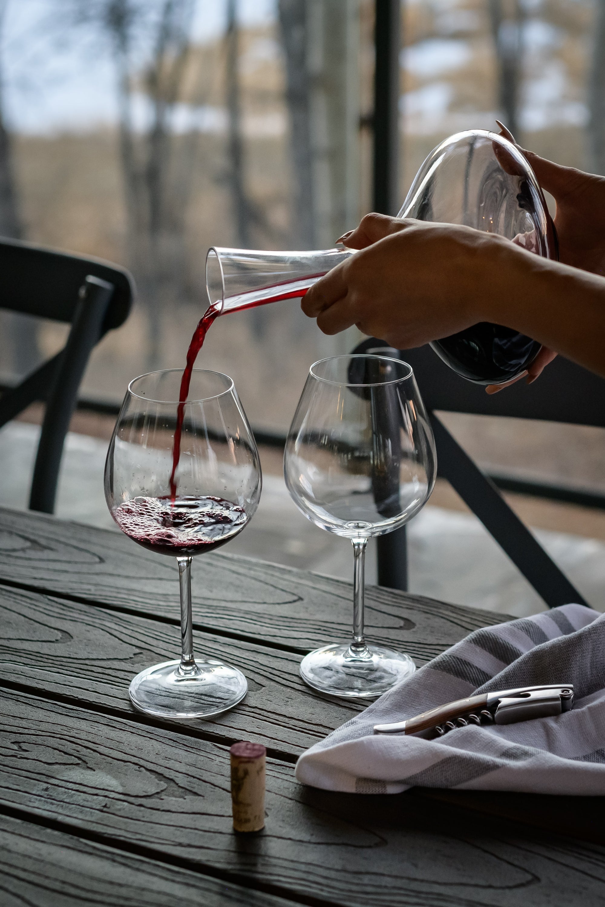 Find Your New Favourite... Malbec Alternatives