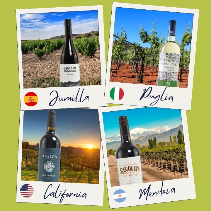 Polaroids of wines from Jumilla, Puglia, California and Mendoza in their vineyards