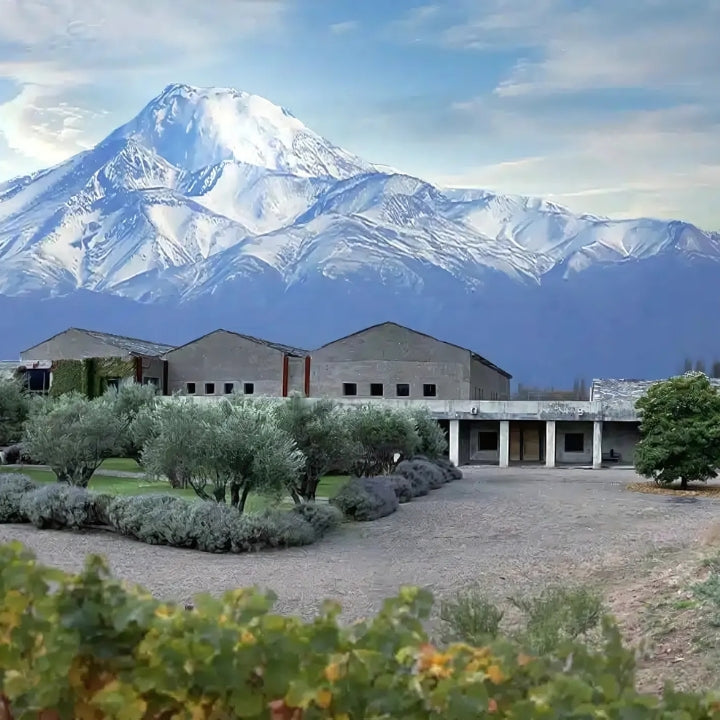 Atamisque Winery, Uco Valley Mendoza, Argentina