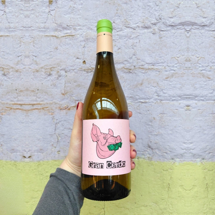 Best of Spain at Mackie Mayor - 11th February 2026