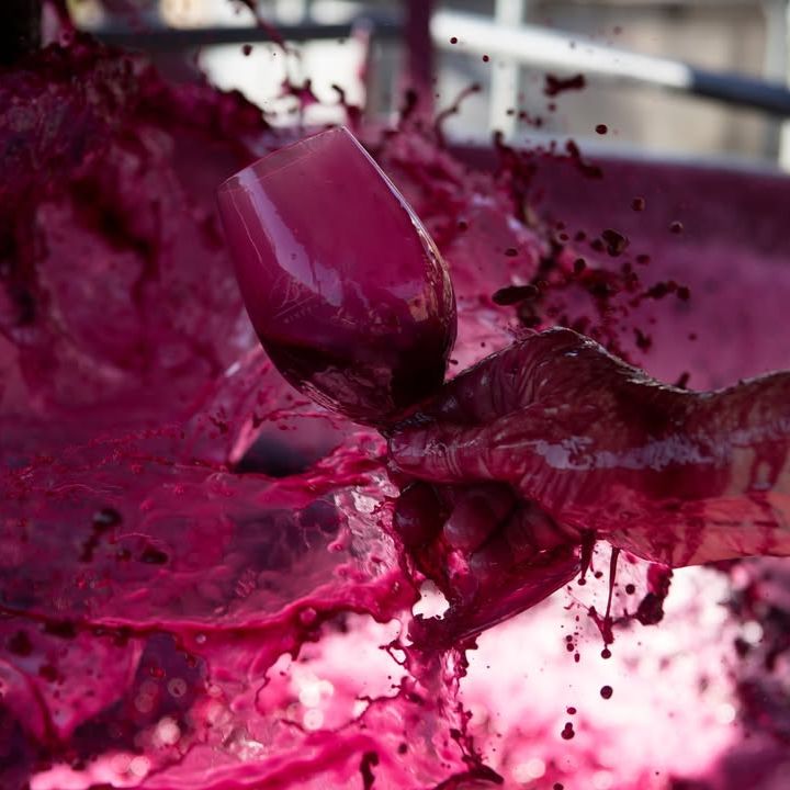 This image bursts with colour and energy. A hand, drenched in freshly pressed wine must, grips a wine glass as vivid splashes of ruby, magenta and garnet wine explode outward in a dramatic spray.