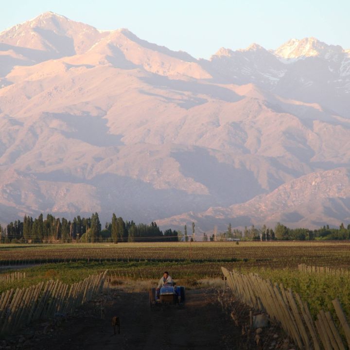 Bodega Benegas Mendoza Argentina