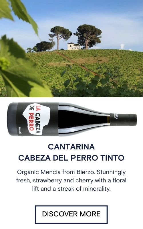 Cantarina, Cabeza Del Perro Mencia, Bierzo, Red Wine, Reserve Wines