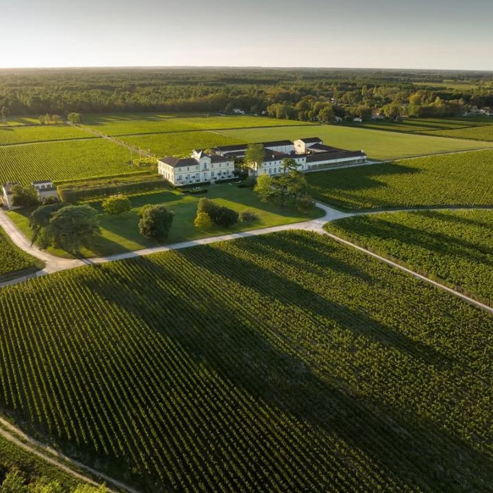 Chateau Tertre Vineyard Bordeaux France