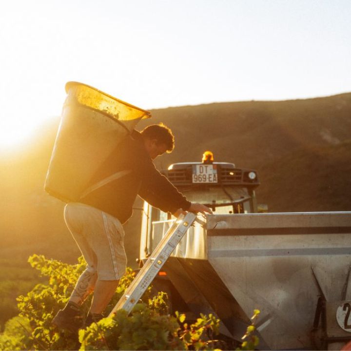 Clos del Rey, Sabina Blanc 2024
