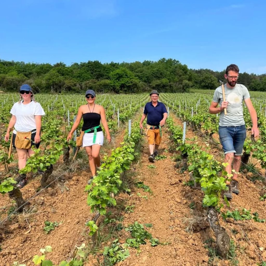 Domaine Belleville, Mercurey Champ Ladoy 2024