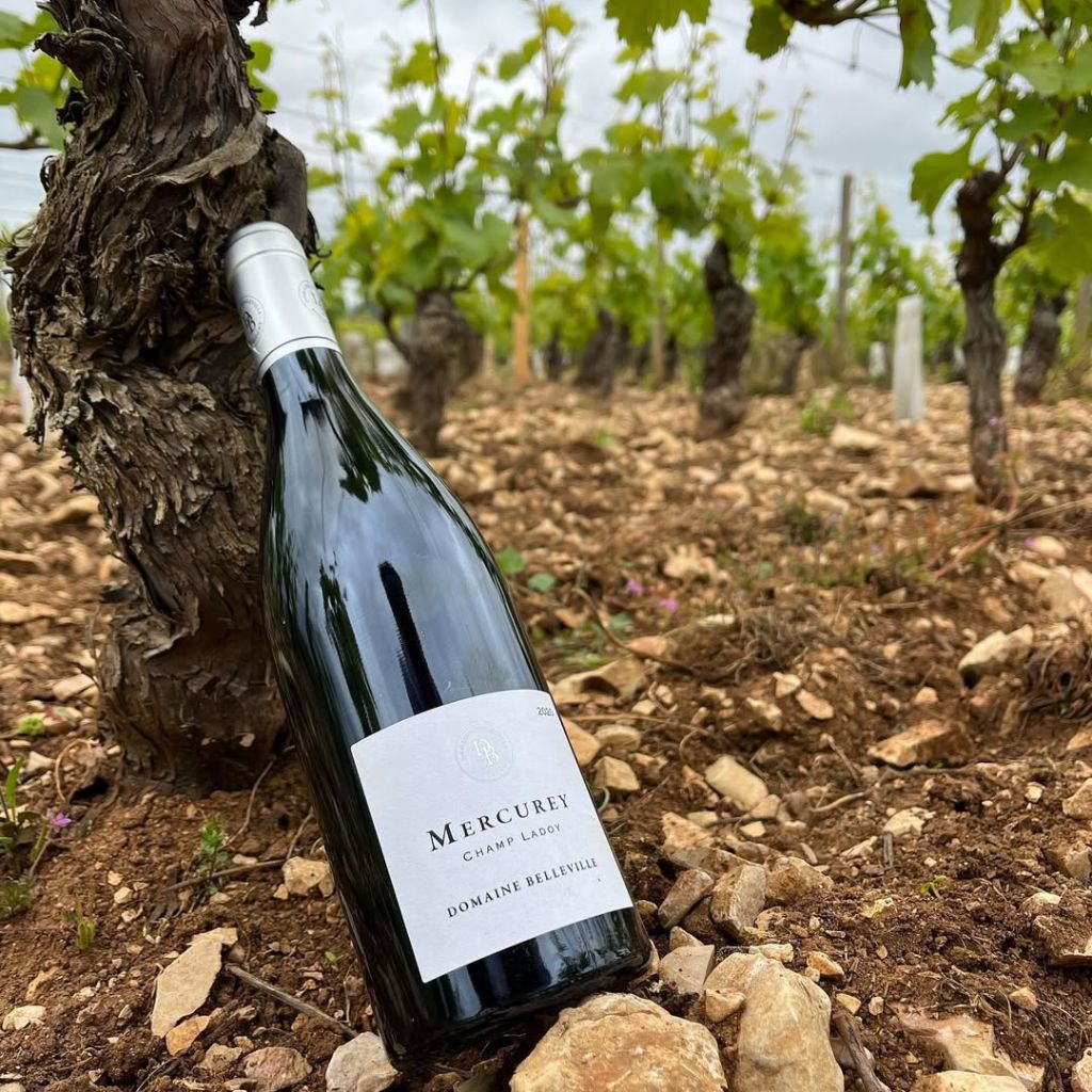 Domaine Belleville, Mercurey Champ Ladoy 2024