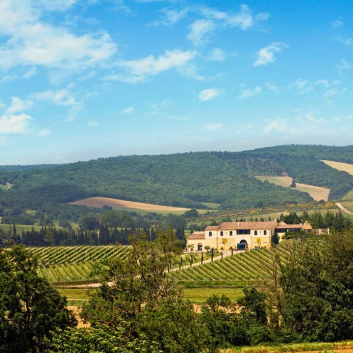 Domaine Gayda, Le Chemin de Moscou 2022