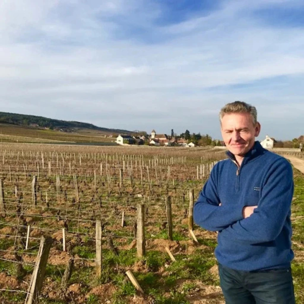 Domaine Remi Jeanniard, Morey-Saint-Denis 1er Cru Les Ruchots 2024