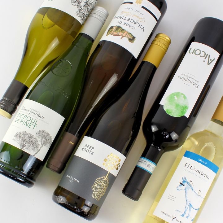 Dry and zesty white wine bottles with various labels on a white background