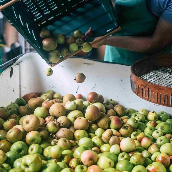 Dunham Massey Apple Juice 250ml