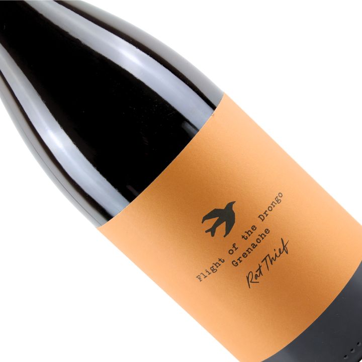 Pearl Mountain, Flight of the Drongo 2021
