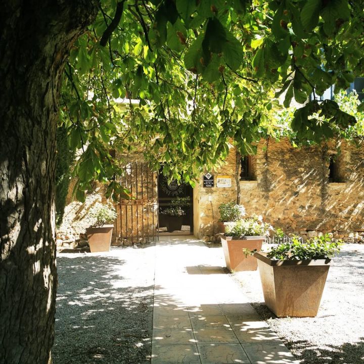 Sunlit courtyard of Chateau Saint-Pierre in Provence with stone walls, potted plants, and a wooden door.