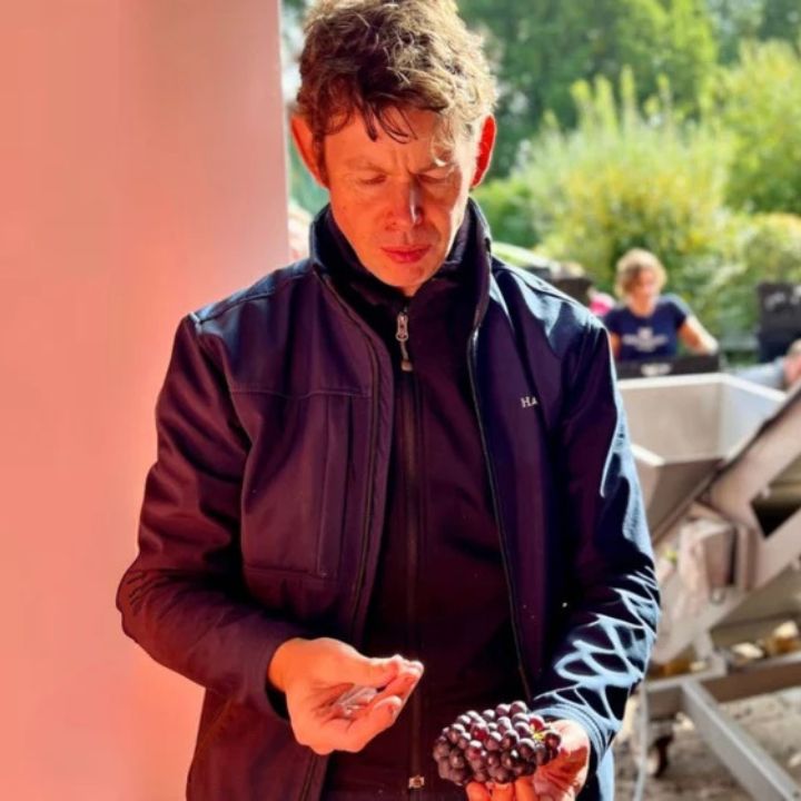 Hattingley Valley, Vintage 2019