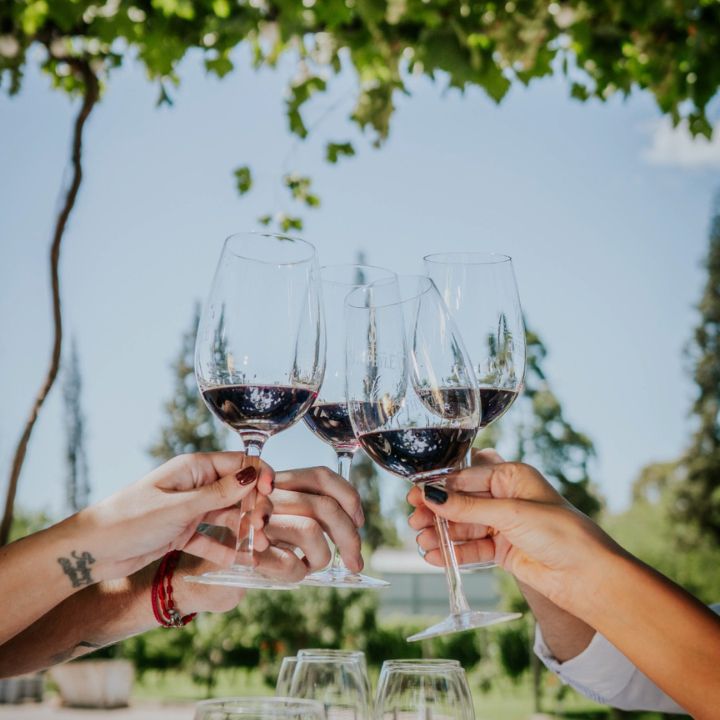 Staphyle, Iris Malbec 2024