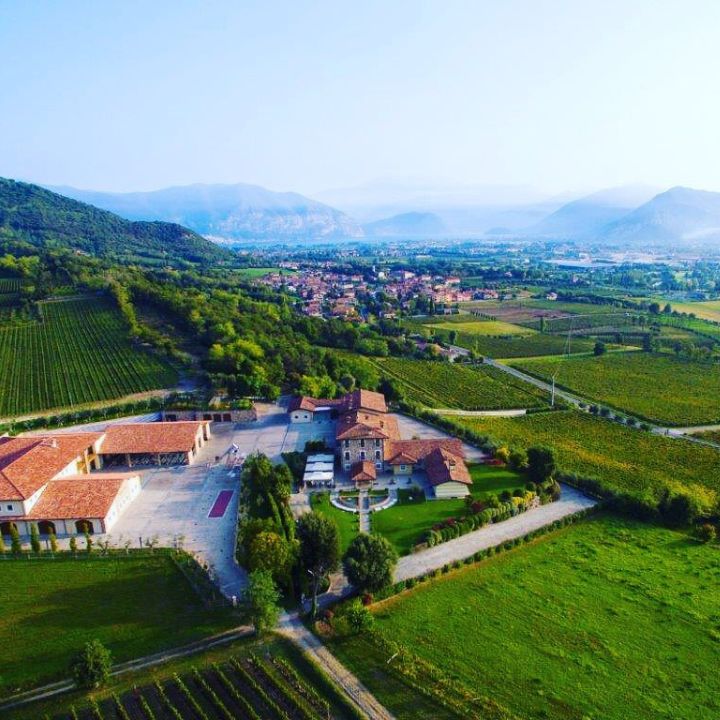 Ferghettina Franciacorta Vineyard, Italy