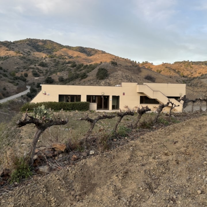 Marco Abella Vineyard Winery