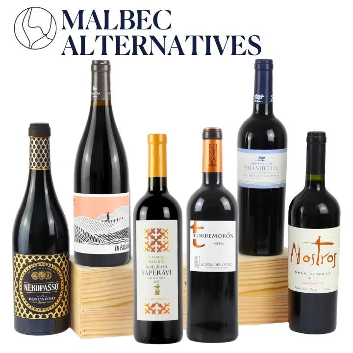 A selection of 6 red wines that are good alternatives to Malbec against a white background