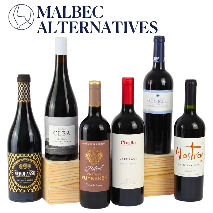 Collection of wine bottles with labels on a white background, featuring the brand 'Malbec Alternatives'.