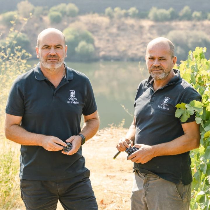 Qta do Vale Meao, Meandro Finest Reserve Ruby Port NV