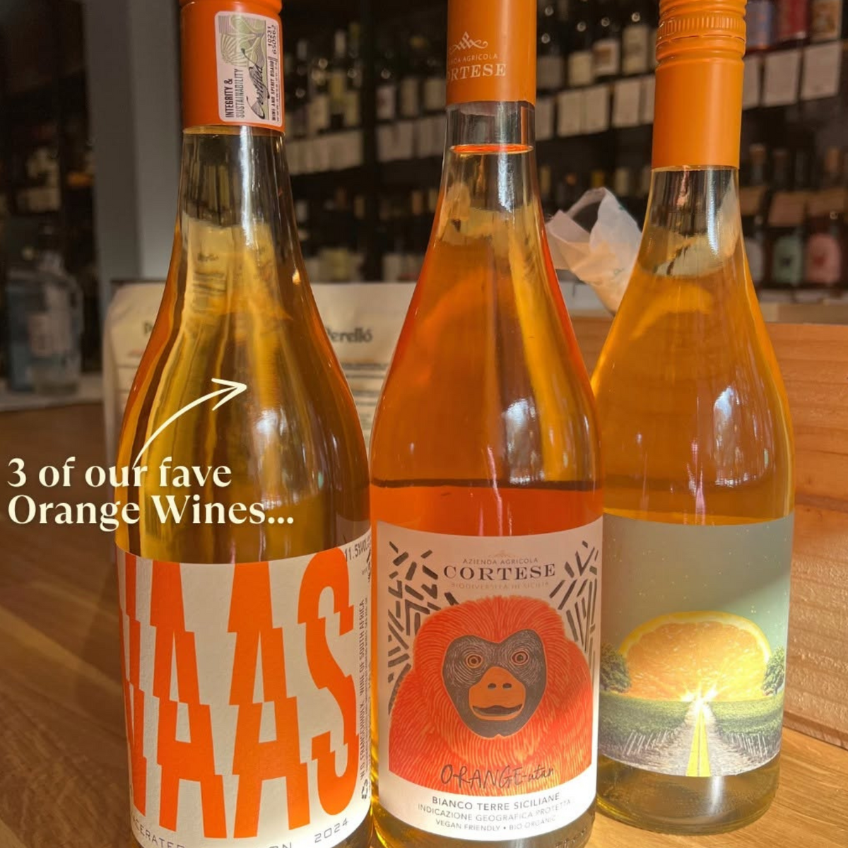 Natural Wine Tasting